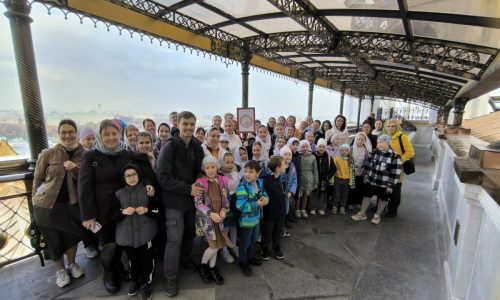 dvs2010_02